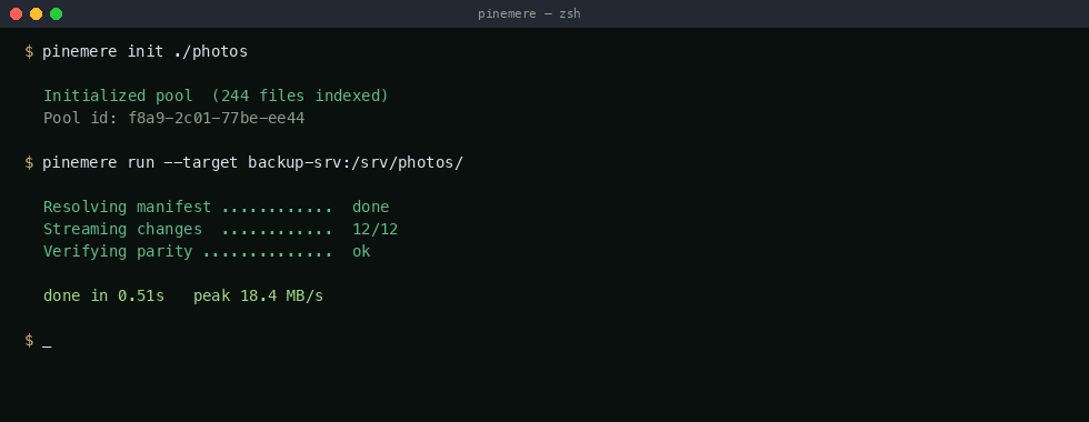 pinemere run terminal output